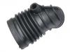 进气管 Intake Pipe:13 71 1 247 829