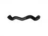Kühlerschlauch Radiator Hose:203 501 02 82