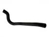 Radiator Hose:MB538804