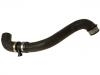Kühlerschlauch Radiator Hose:211 501 56 82