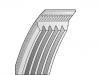 Courroie trap. à nervures V-Ribbed Belt:5 PK 2030