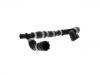 散热器软管 Radiator Hose:4F0 819 375 B